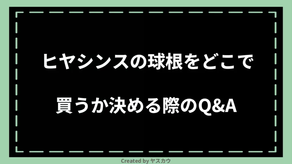 ヒヤシンスの球根をどこで買うか決める際のQ＆A