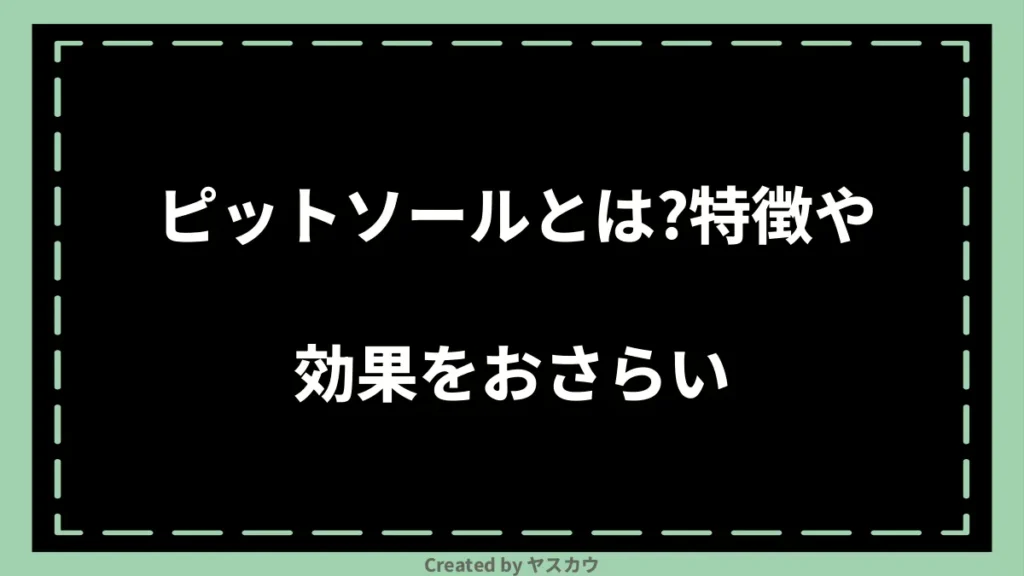 ピットソールとは？特徴や効果をおさらい