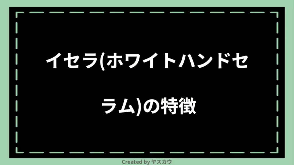 イセラ(ホワイトハンドセラム)の特徴