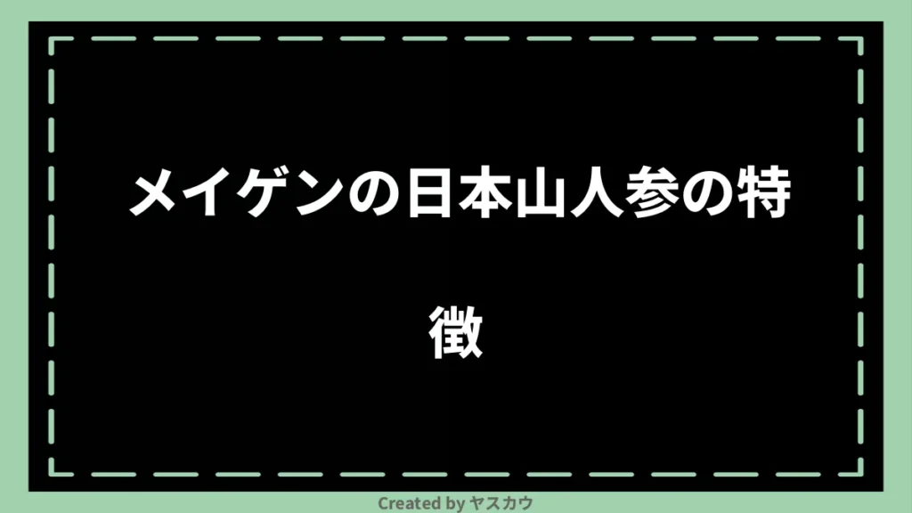 メイゲンの日本山人参の特徴