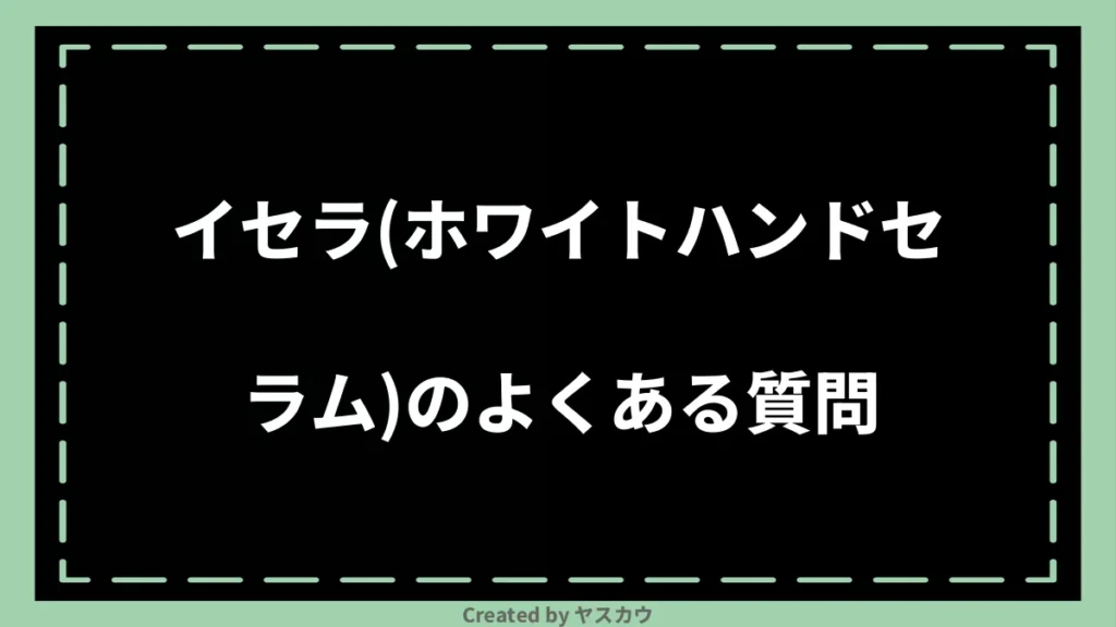 イセラ(ホワイトハンドセラム)のよくある質問
