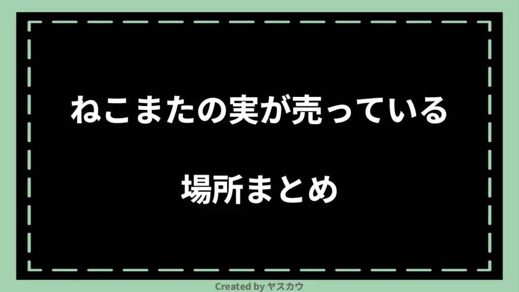 ねこまたの実が売っている場所まとめ
