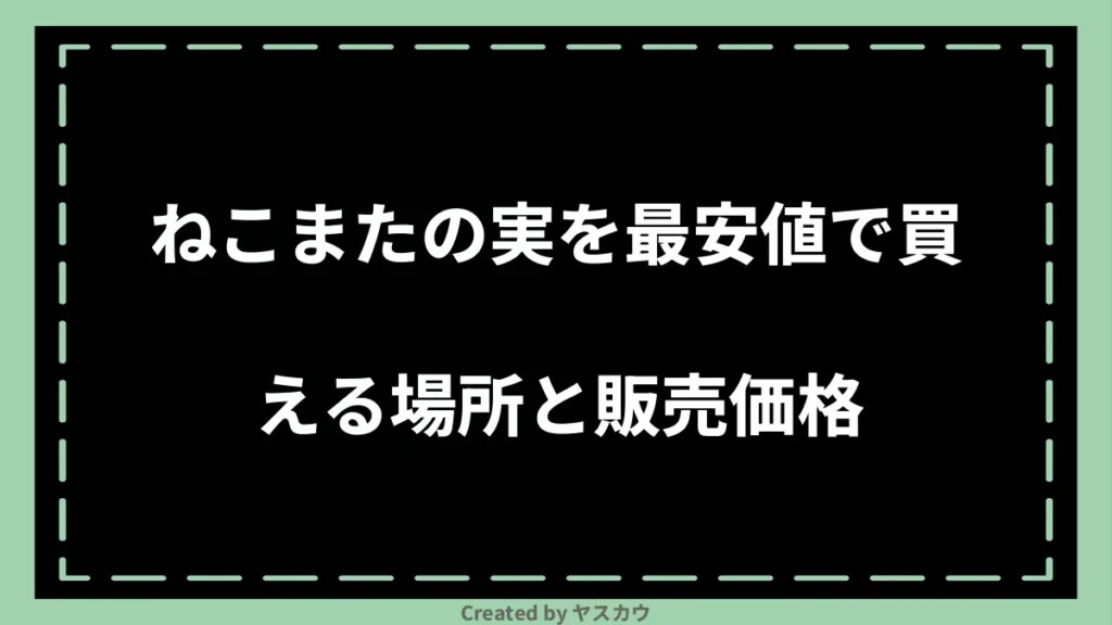 ねこまたの実を最安値で買える場所と販売価格