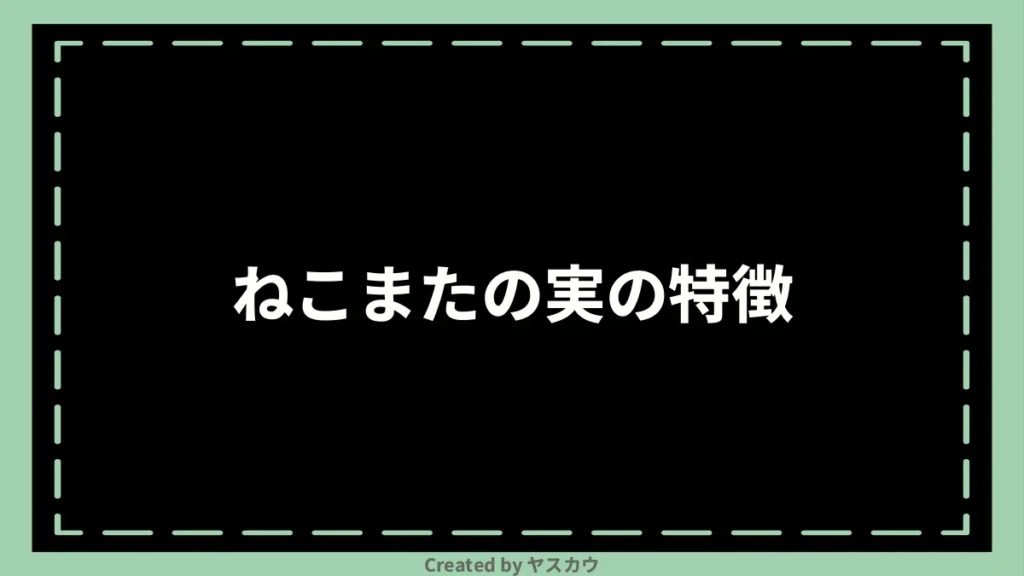 ねこまたの実の特徴