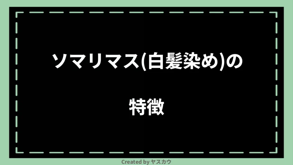 ソマリマス(白髪染め)の特徴